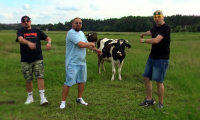 wuwunio polska powiatowa