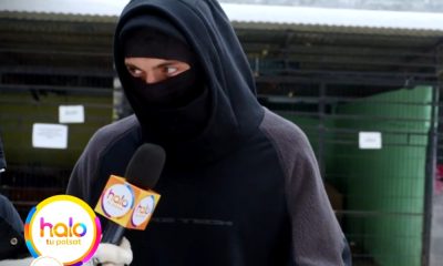 malik montana schronisko