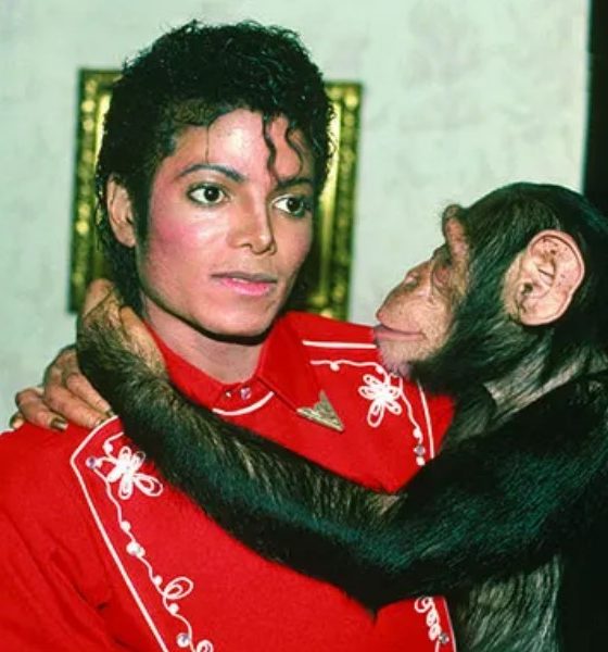 michaeljackson-szympans