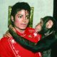 michaeljackson-szympans