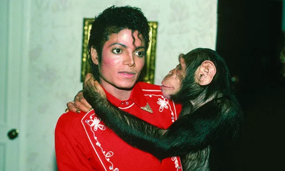 michaeljackson-szympans