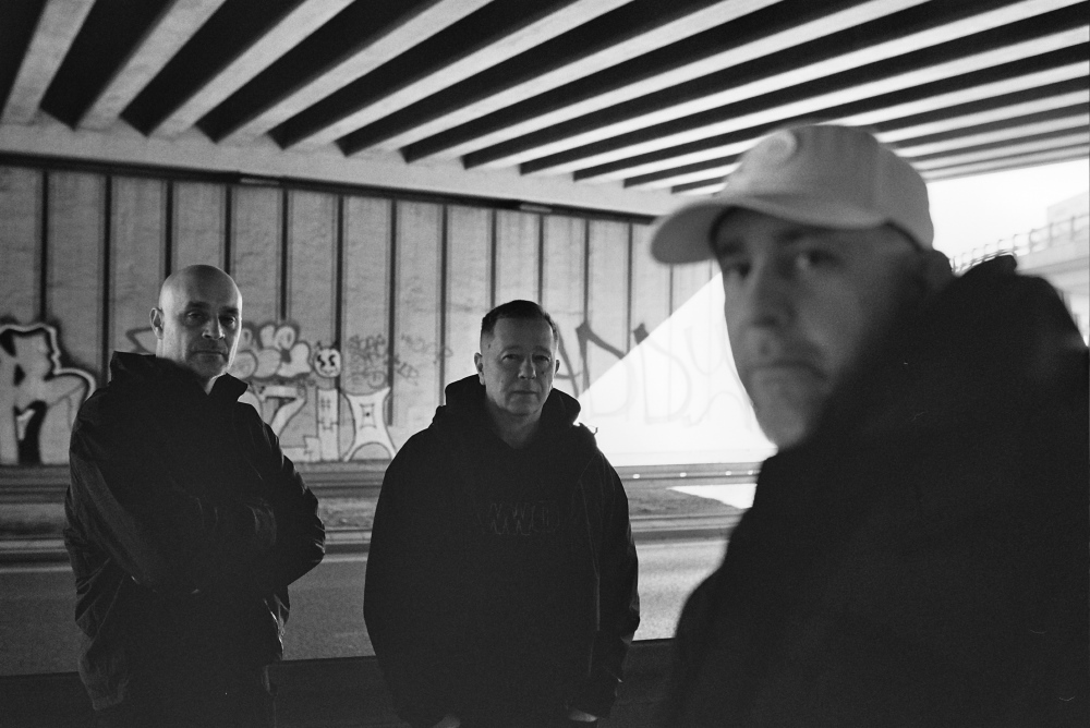 sokół jędker wwo koncert