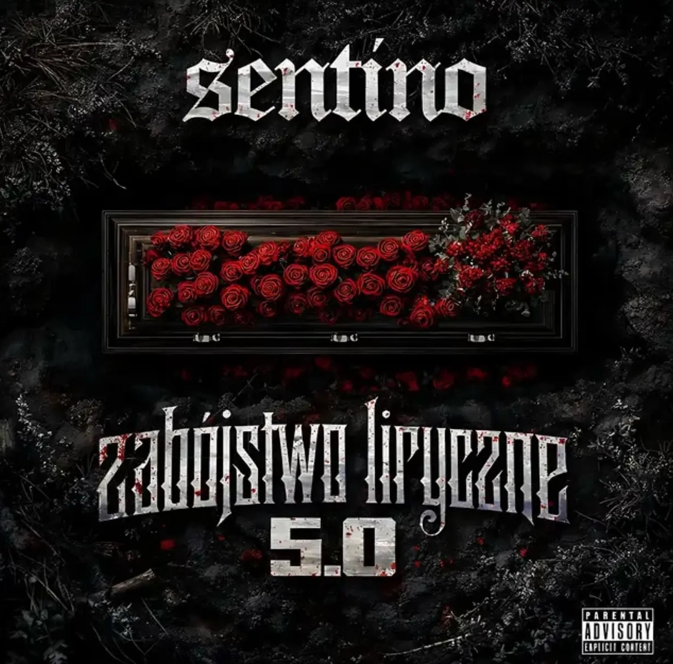 sentino kaz bałagane zl5