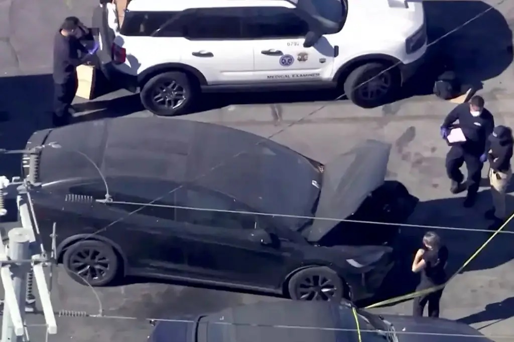 d4vd aresztowany Celeste Rivas