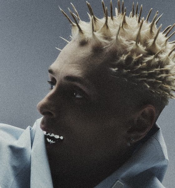 oki kinny zimmer beef