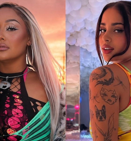 oliwka brazil fagata zgoda