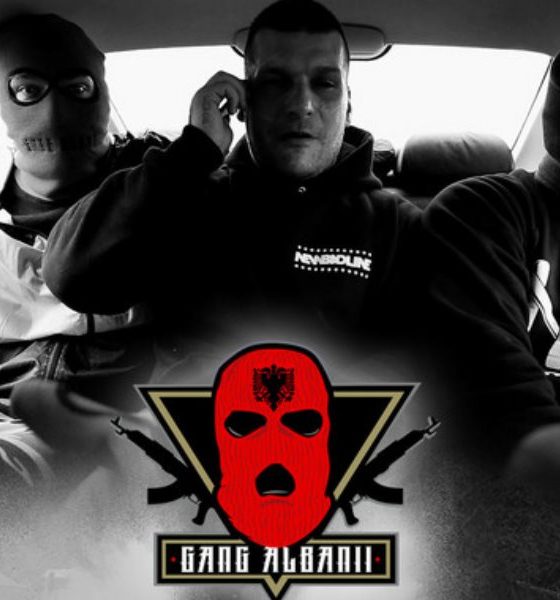 gang albanii